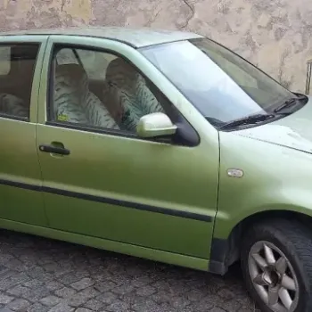 Prodám Volkswagen POLO rok výroby 2001